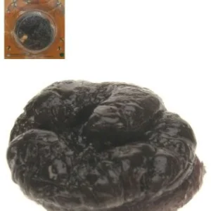 Hondendrol