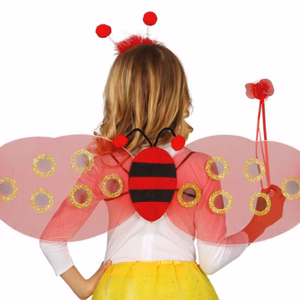 Ladybug accessoires set